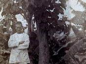 Bisexualidades literarias Wonderland