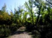 Caminos serranos