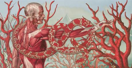 Cómo dibujar anatomía: Descubre «Posemaniacs» Cómo dibujar anatomía: Descubre «Posemaniacs»