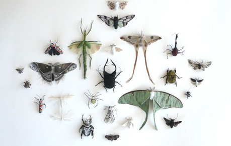 Nuevo material para Bellas Artes: pelo humano, en serio