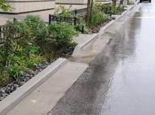 Nueva York tendrá 9000 jardines lluvia