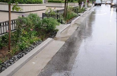 Nueva York tendrá más de 9000 jardines de lluvia