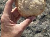 Cookies chocolate veganas gluten