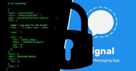 Signal es la alternativa segura a WhatsApp y Telegram Signal es la alternativa segura a WhatsApp y Telegram