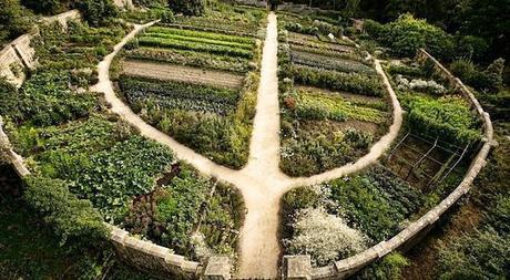 Ejemplo en agricultura de cultivos basados en permacultura