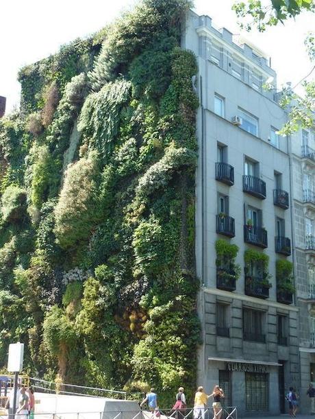 Las fachadas verdes, solución contra el calor en las ciudades