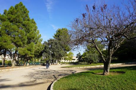 De Tarragona a la ermita de la Mare de Déu de la Salut | Tarragona