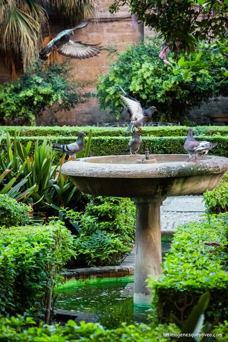 Jardines de la Catedral de Málaga 8 imprescindibles que ver en Málaga