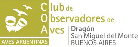 Gran Día Mundial (19 de octubre de 2019)