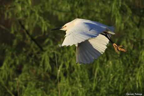Gran Día Mundial (19 de octubre de 2019)