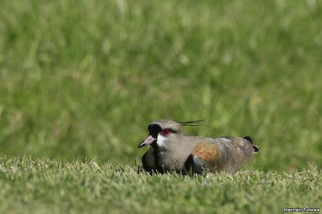 Gran Día Mundial (19 de octubre de 2019)
