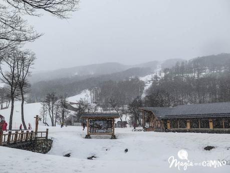 Ver nevar por primera vez en el Cerro Castor