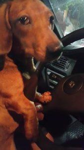 Salchi Pensamientos 77