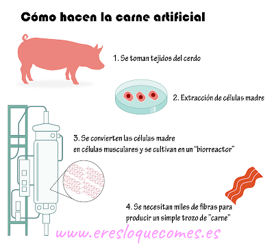 Carne artificial: una carne para dominarlos a todos