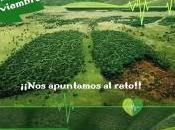 Noviembre 2.019 fiestas Sierra Norte Guadalajara