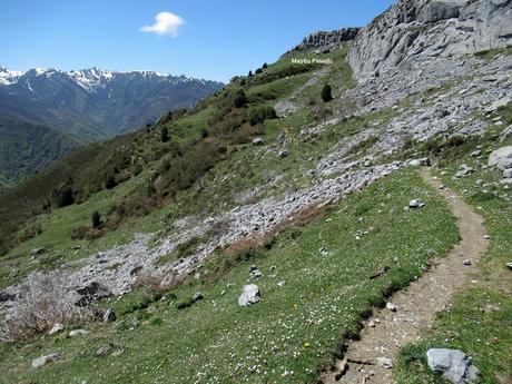 Ruayer-Caniel.la-Pena Reonda