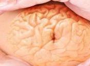 Síndrome Intestino Permeable