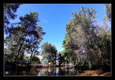 Tigre, un paseo por la Holanda argentina