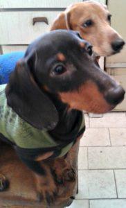 Salchi Pensamientos 87