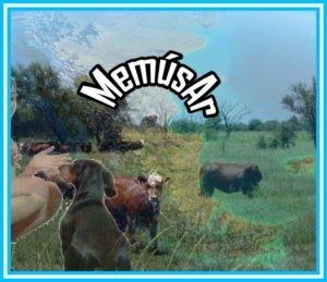 Salchi Pensamientos 85 Salchi Pensamientos 85