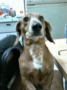 Salchi Pensamientos 85 Salchi Pensamientos 85