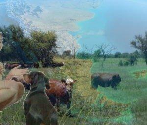 Salchi Pensamientos 81