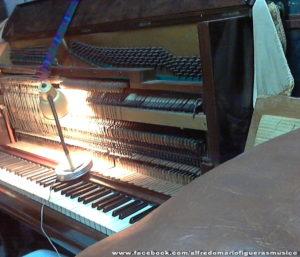 Salchi Pensamientos 79