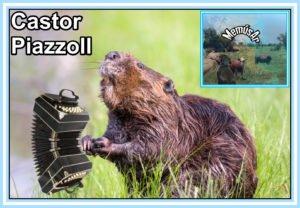 Salchi Pensamientos 78