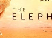 Revisión: reina elefante Apple absolutamente impresionante