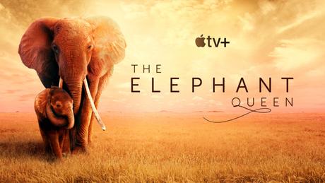 Revisión: La reina del elefante en Apple TV + es absolutamente impresionante
