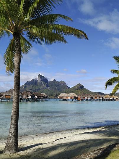 Polinesia: un sueño hecho realidad Polinesia: un sueño hecho realidad