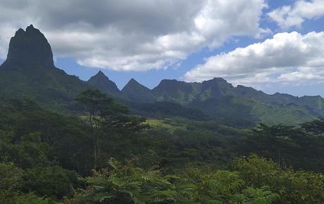 Polinesia: un sueño hecho realidad Polinesia: un sueño hecho realidad