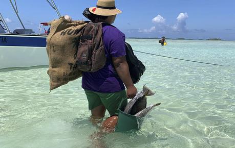 Polinesia: un sueño hecho realidad