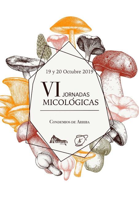 VI JORNADAS MICOLÓGICAS DE CONDEMIOS DE ARRIBA