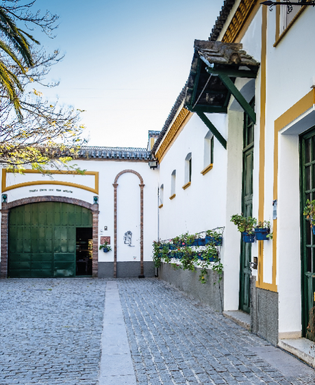 ATENEO DEL VINO: Sábado 19 de octubre de 2019: Visita a la Laguna de Zóñar y a las Bodegas Toro Albalá