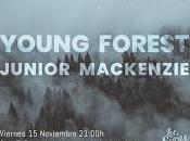 Young Forest Junior Mackenzie Perro parte atrás coche