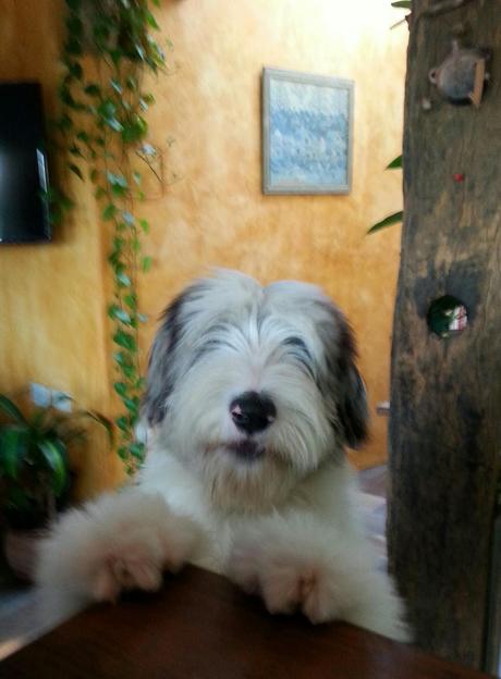 Mañana del bicentenario