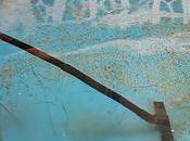 Mantenimiento piscina natural después instalación