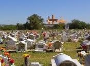 Halloween adoptado, impuesto fuerza