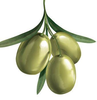 Alzheimer y aceite de oliva .. ese oro líquido