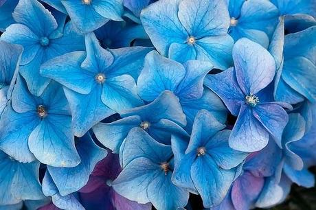 Markus Reugels y su objetivo filosofal.