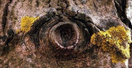 Markus Reugels y su objetivo filosofal.