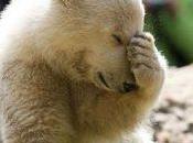 fachódromo (20): “los ‘indignados’ tienen problemas almas” (A.M. Rouco Varela, 26-mayo-2011)