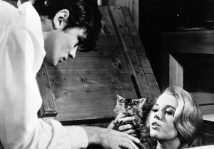 El rellume XII: “Los felinos”. Rene Clément, Alain Delon, Jane Fonda, unos gangsters, una casa…