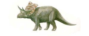 Arrhinoceratops