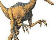 Velociraptor