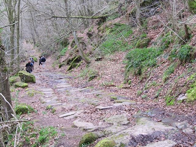 CAMINANDO POR LA CALZADA ROMANA DE CANTABRIA