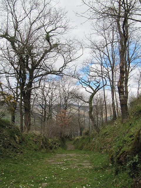 CAMINANDO POR LA CALZADA ROMANA DE CANTABRIA