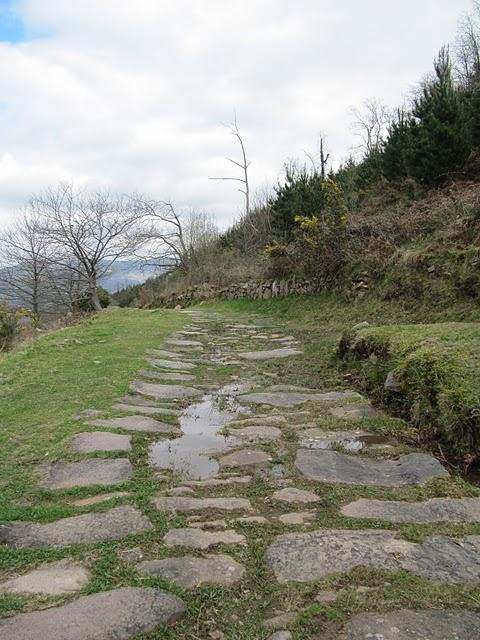 CAMINANDO POR LA CALZADA ROMANA DE CANTABRIA