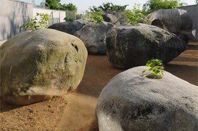 El jardín que crece en piedras